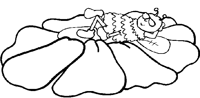 Pszczoły kolorowanki